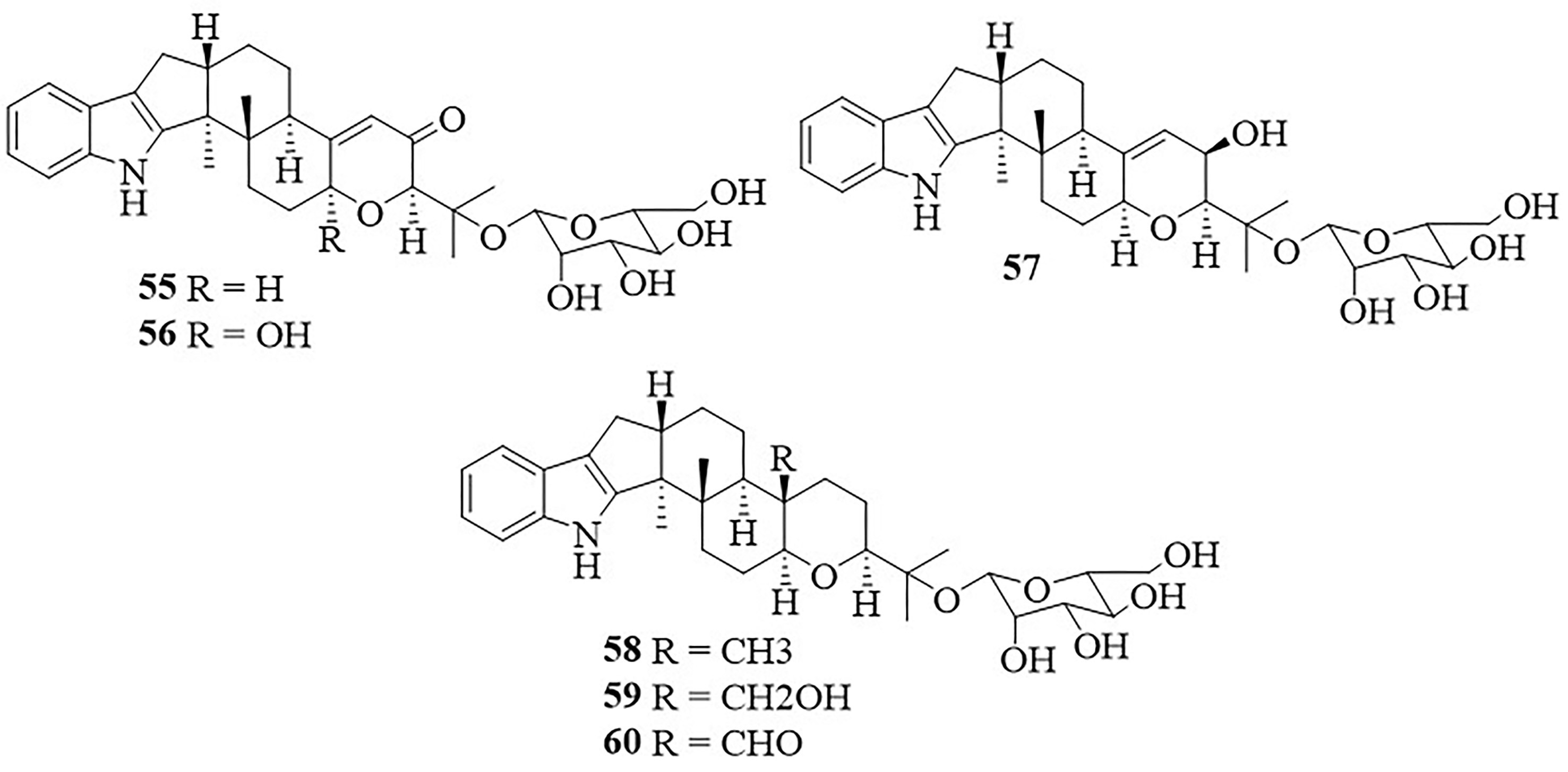 Figure 13