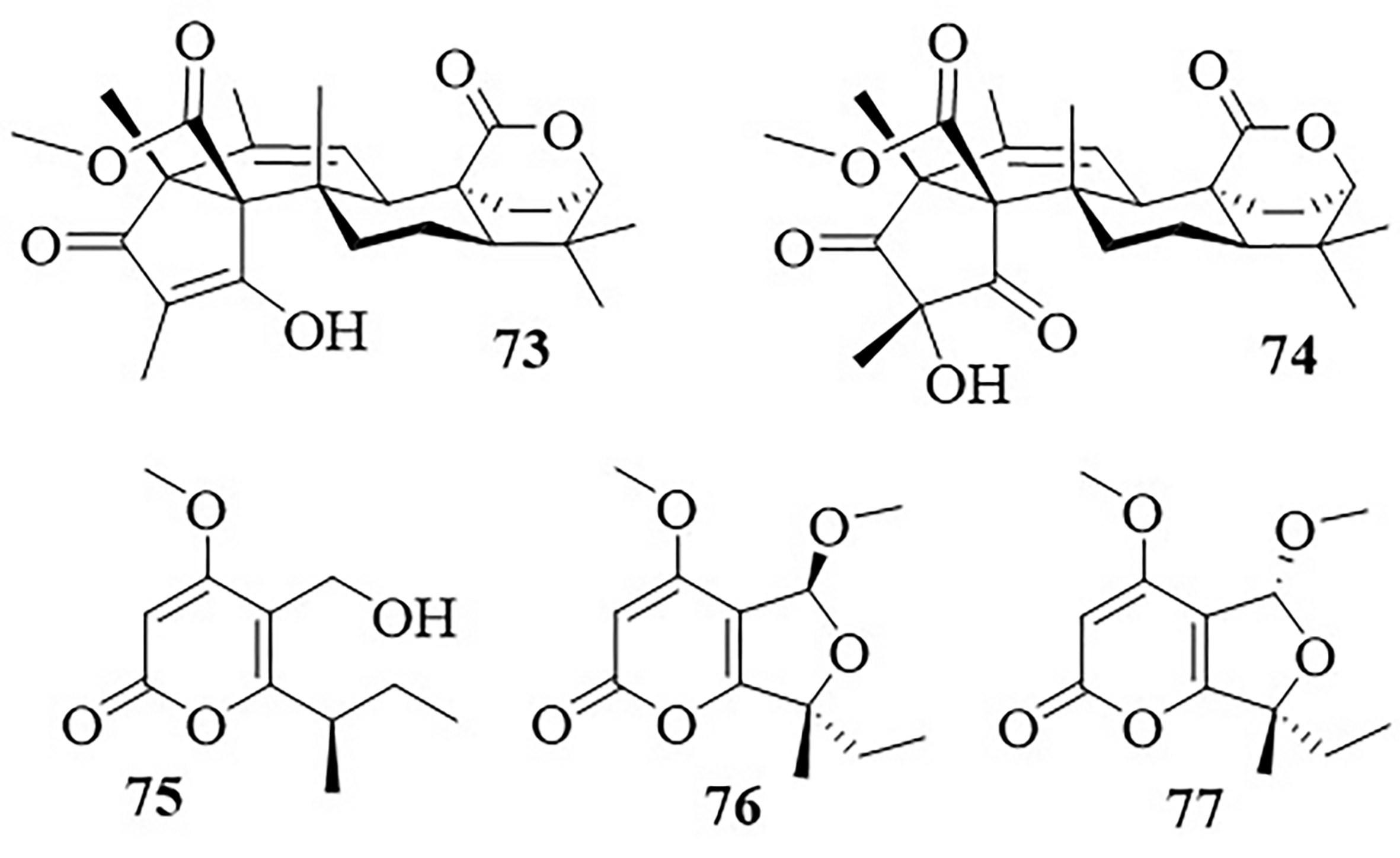 Figure 16