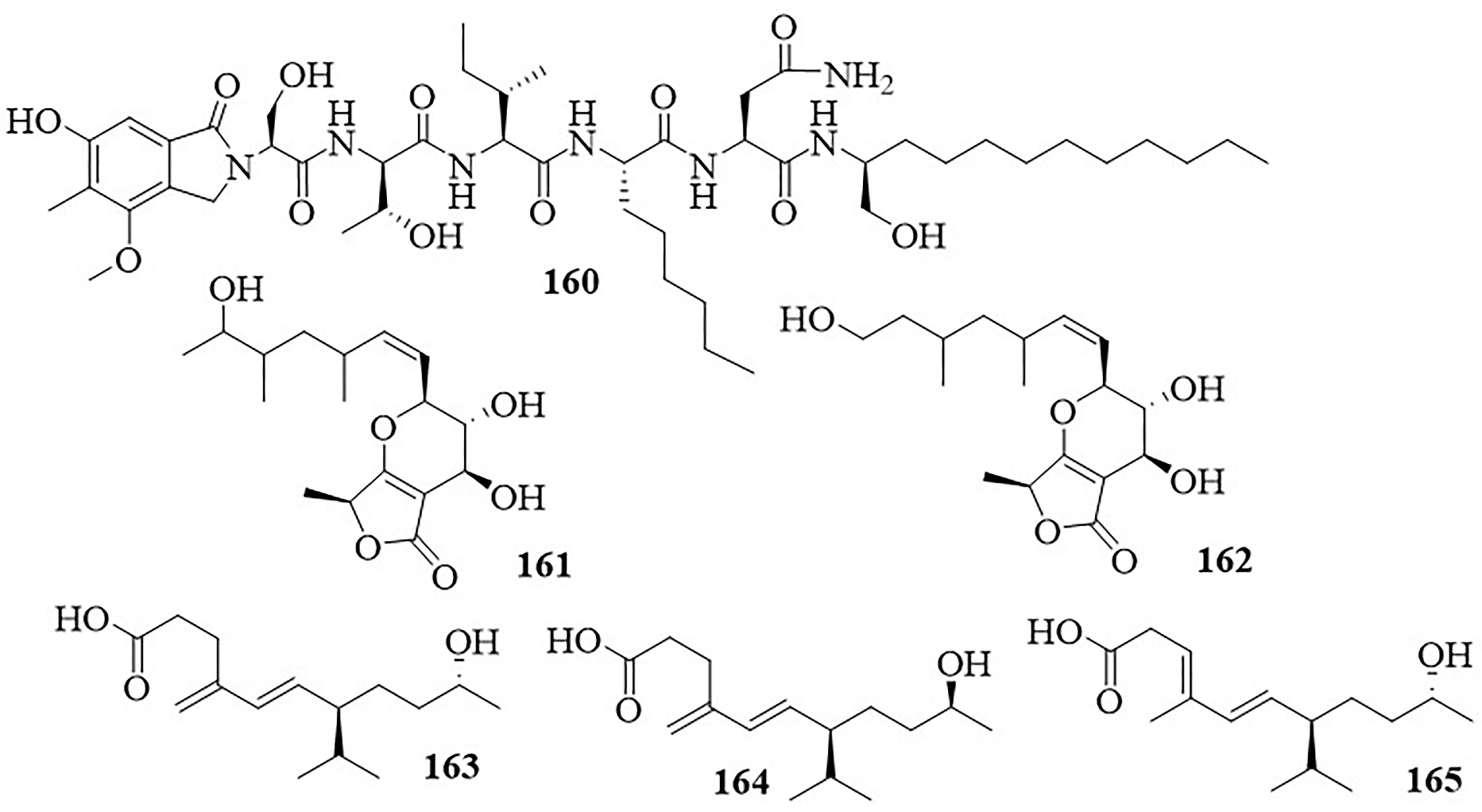 Figure 22