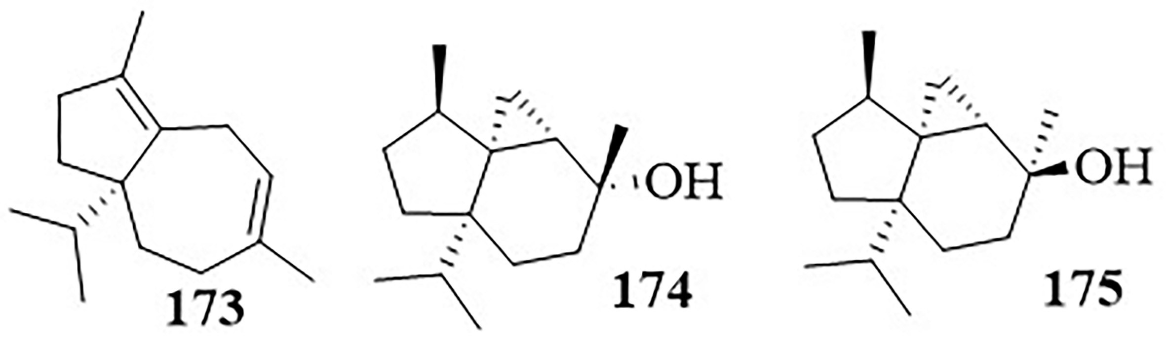 Figure 24