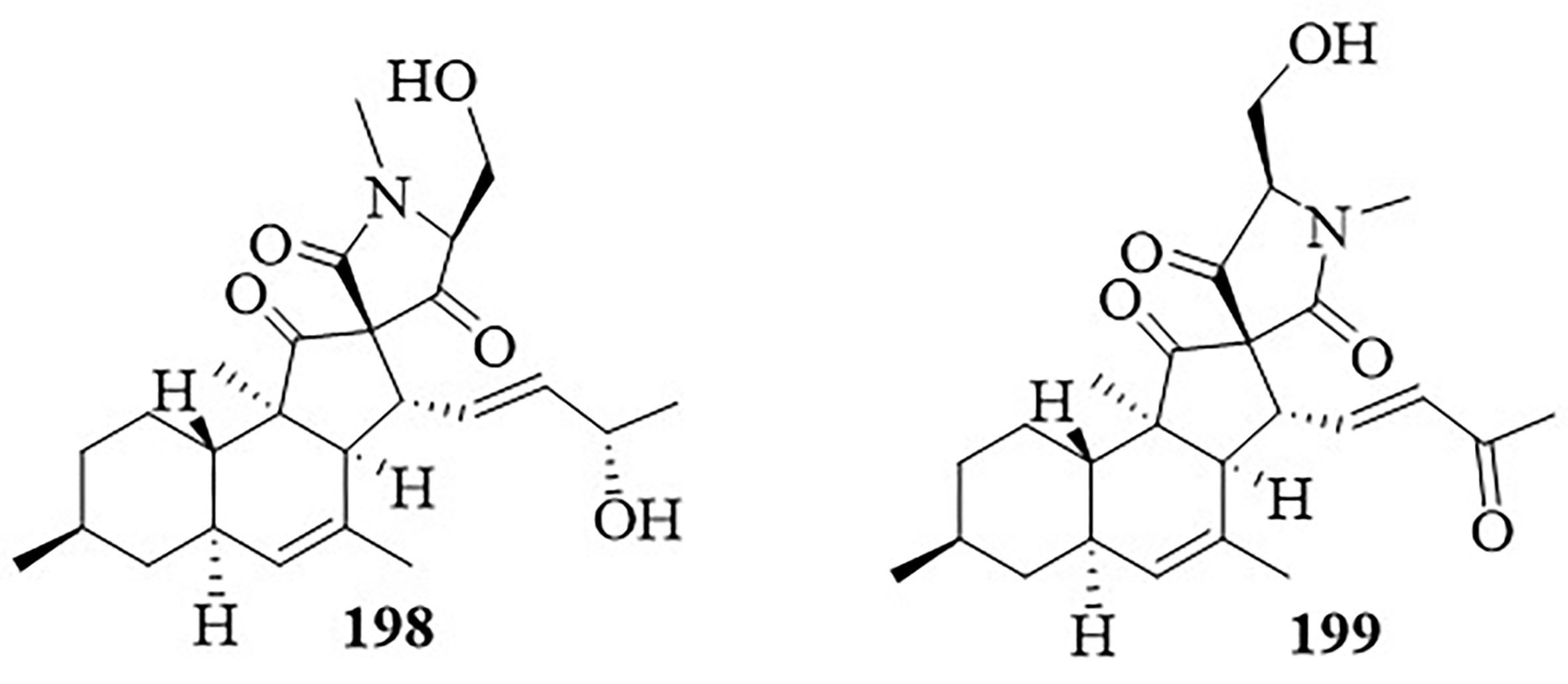 Figure 31