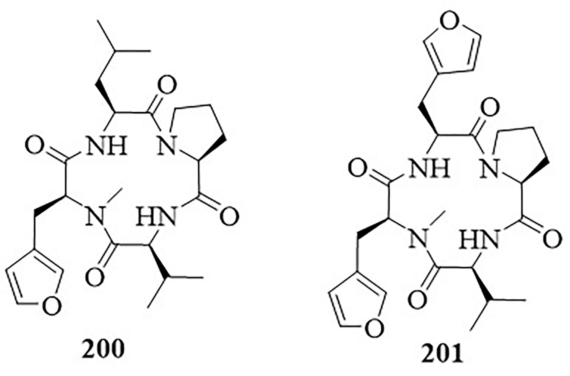 Figure 32