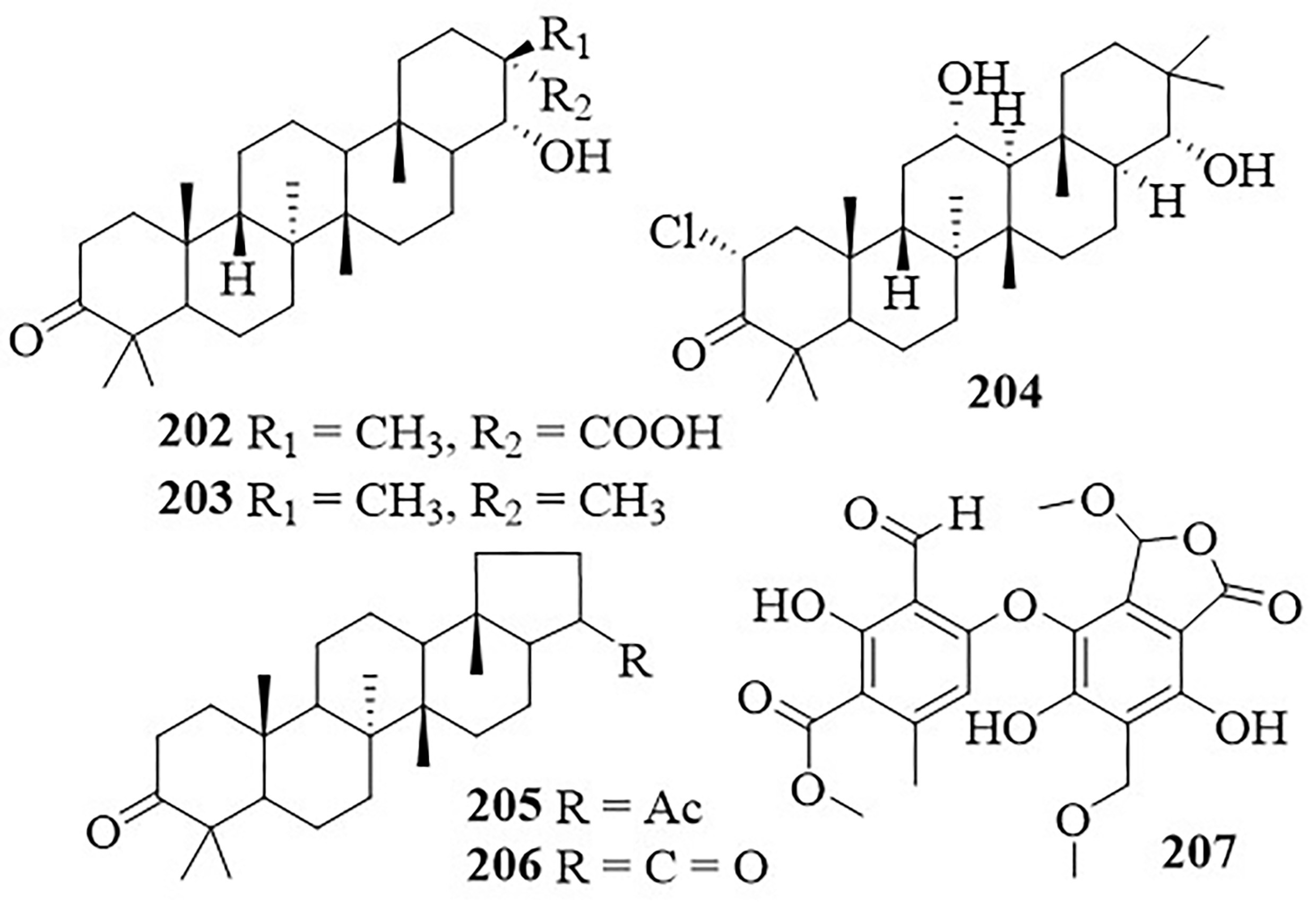 Figure 33