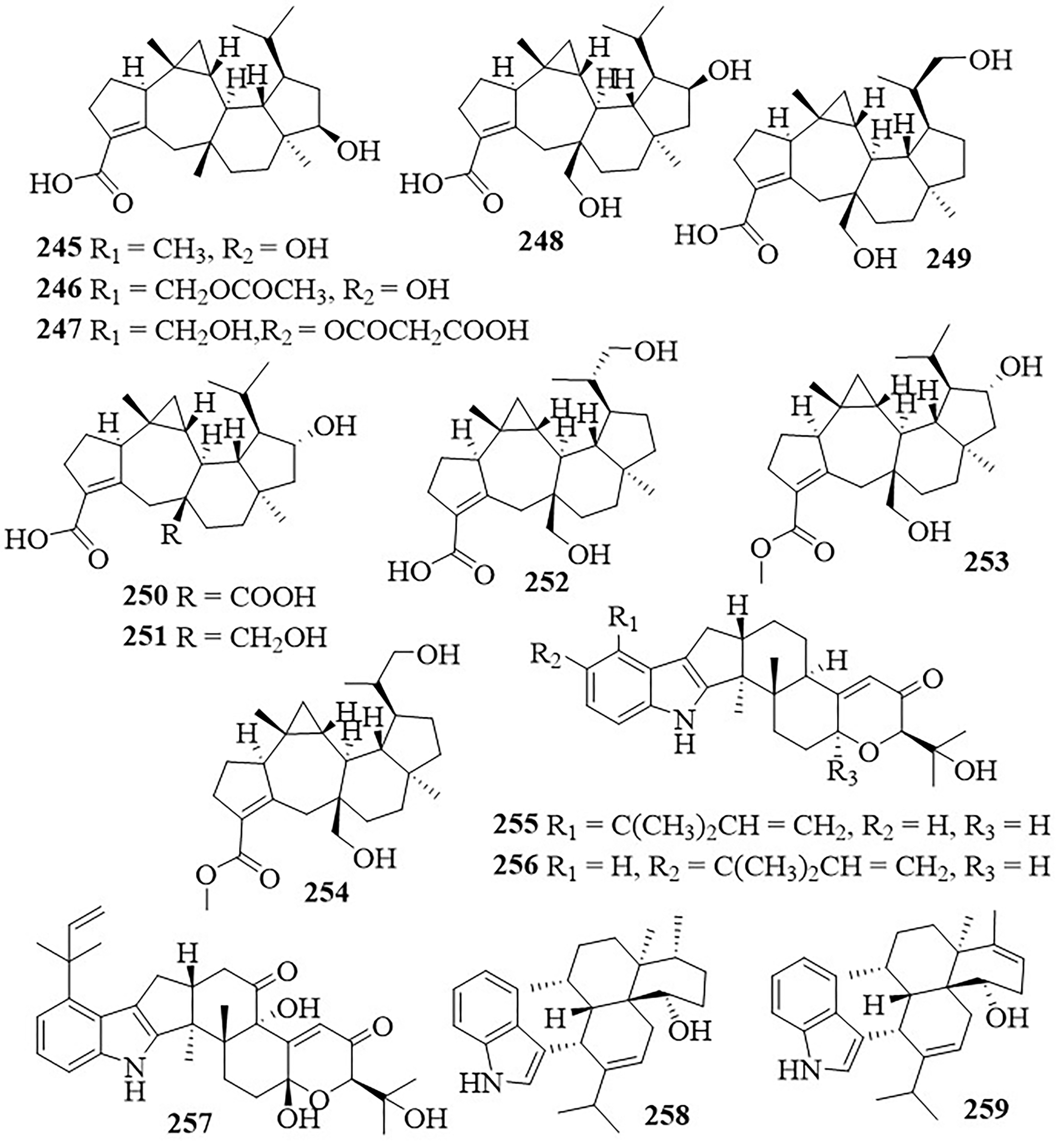 Figure 41