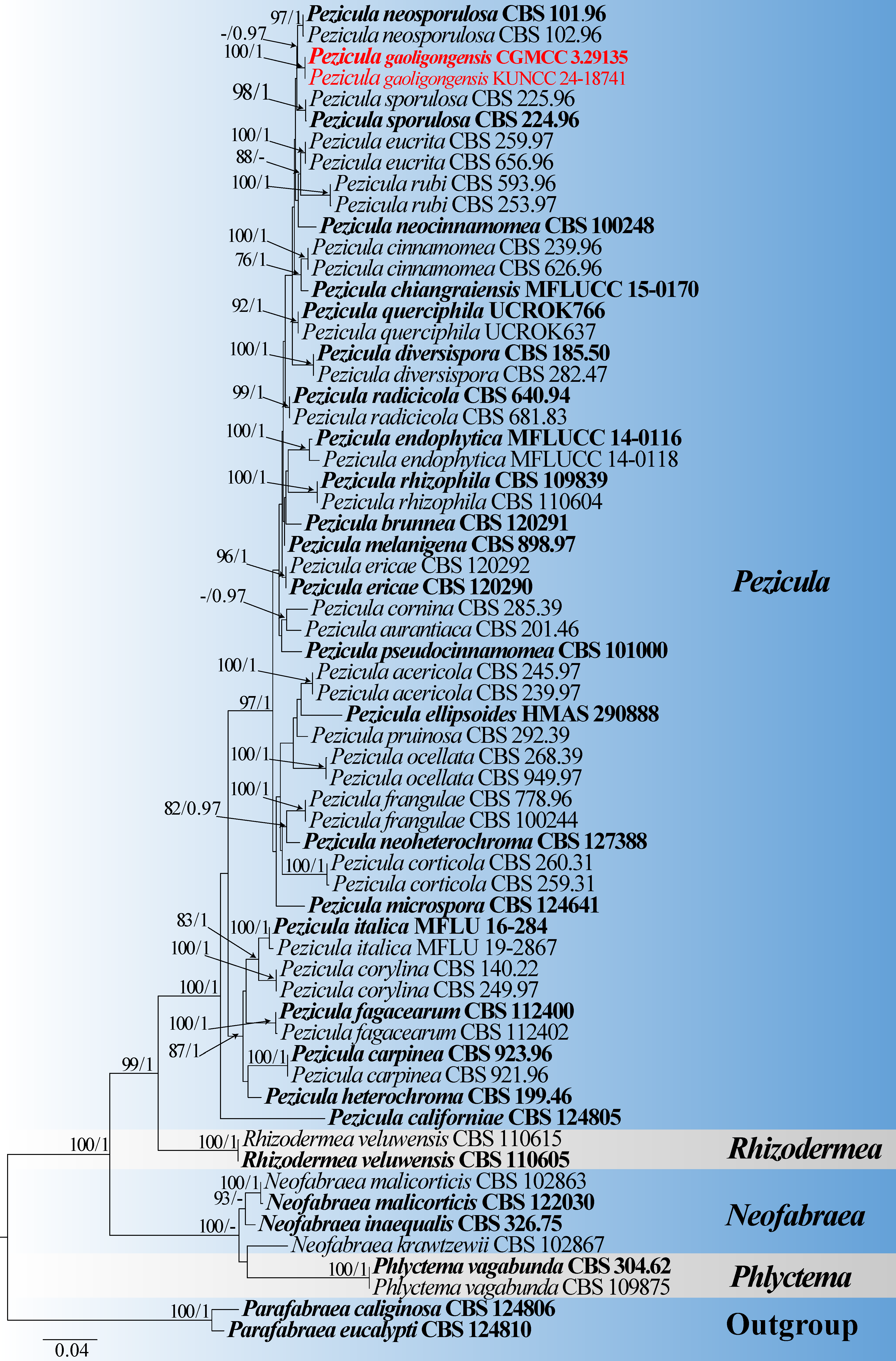 Figure 2